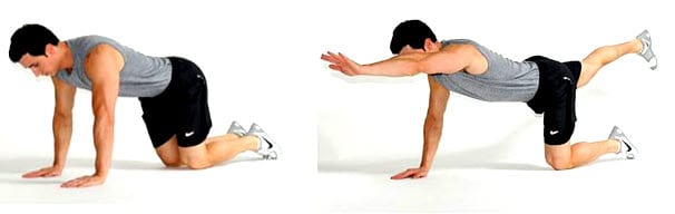 Bird Dog, Strengthen Core and Back, eliviate back pain