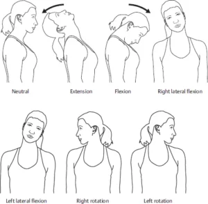 Neck Range of Motion | Pergerakan Leher